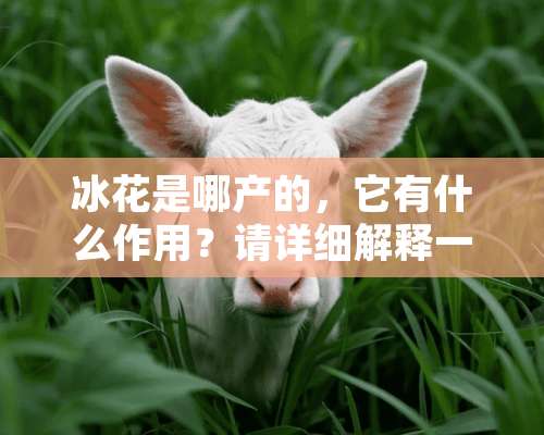 冰花是哪产的，它有什么作用？请详细解释一下。