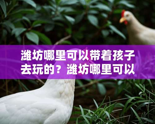 潍坊哪里可以带着孩子去玩的？潍坊哪里可以带？