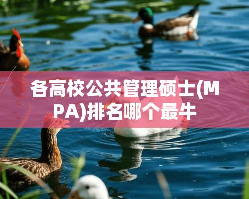 各高校公共管理硕士(MPA)排名哪个最牛