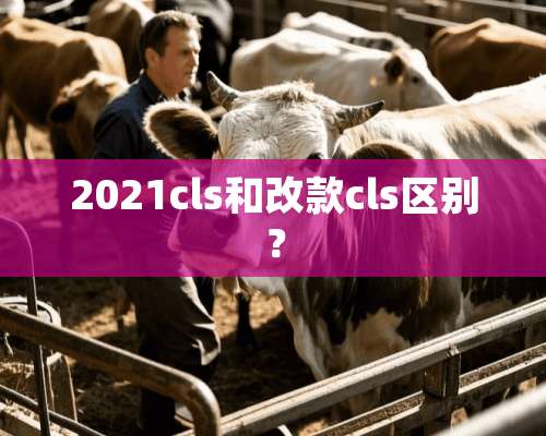 2021cls和改款cls区别？