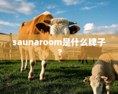 saunaroom是什么牌子？