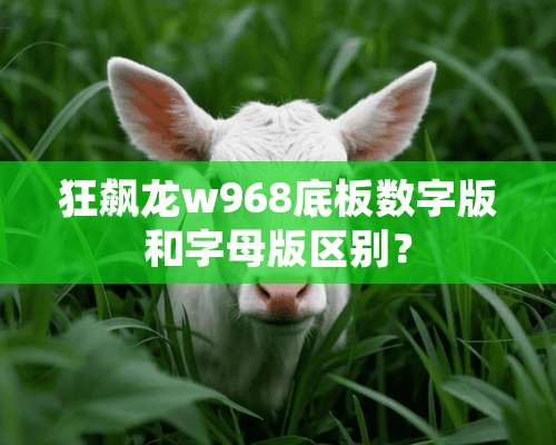 狂飙龙w968底板数字版和字母版区别？