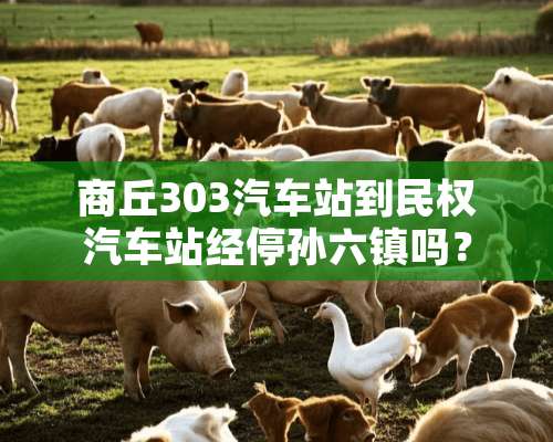 商丘303汽车站到民权汽车站经停孙六镇吗？