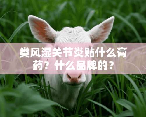 类风湿关节炎贴什么膏药？什么品牌的？