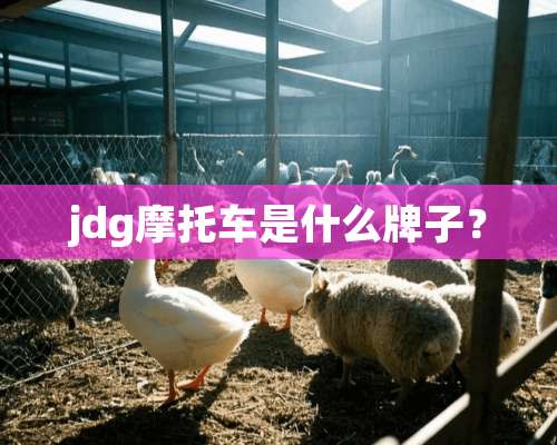 jdg摩托车是什么牌子？