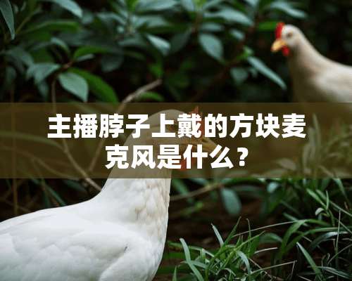 主播脖子上戴的方块麦克风是什么？