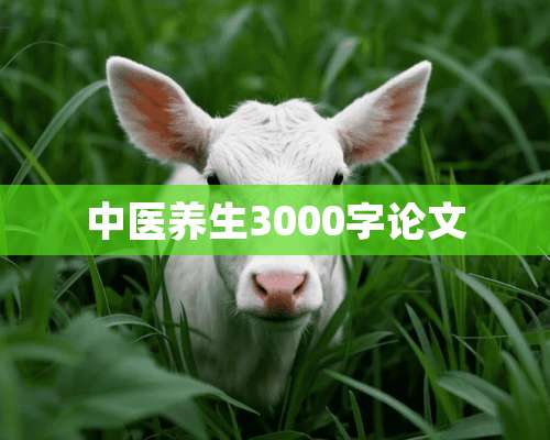 中医养生3000字论文