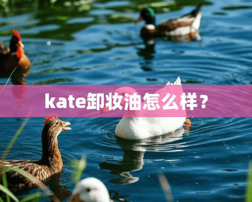 kate卸妆油怎么样？