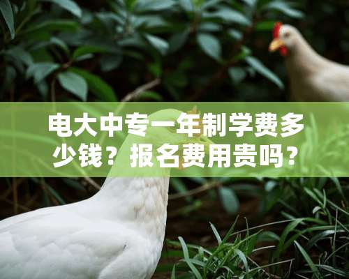 电大中专一年制学费多少钱？报名费用贵吗？