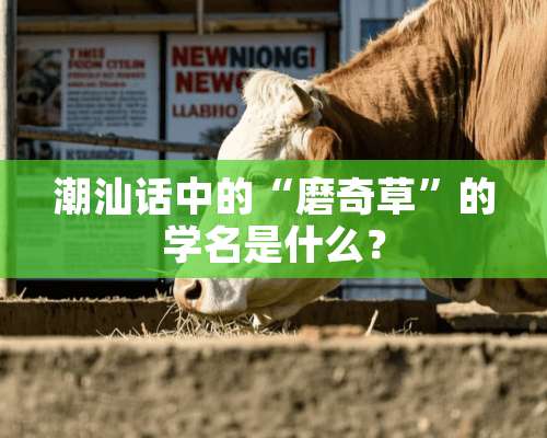 潮汕话中的“磨奇草”的学名是什么？