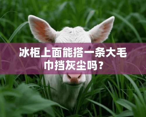 冰柜上面能搭一条大毛巾挡灰尘吗？