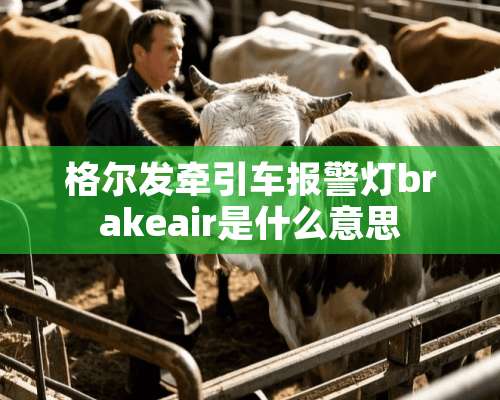 格尔发牵引车报警灯brakeair是什么意思