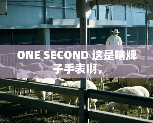 ONE SECOND 这是啥牌子手表啊，