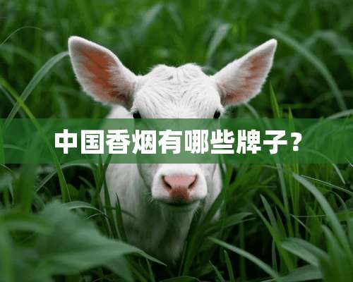 中国香烟有哪些牌子？