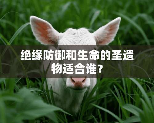 绝缘防御和生命的圣遗物适合谁？