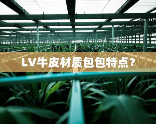 LV牛皮材质包包特点？