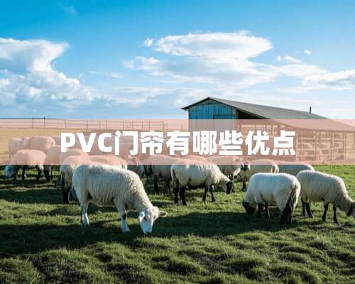 PVC门帘有哪些优点