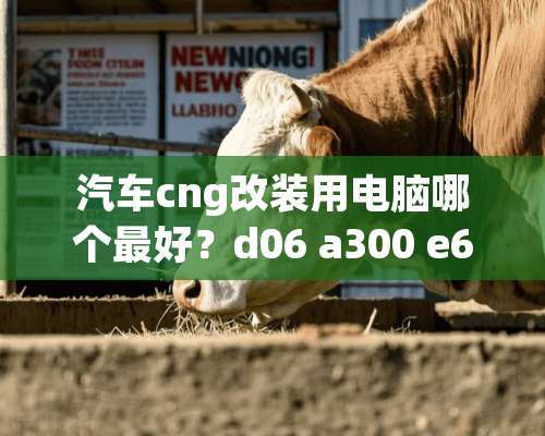 汽车cng改装用电脑哪个最好？d06 a300 e6还是依相？