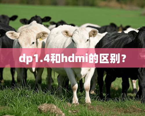 dp1.4和hdmi的区别？