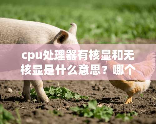 cpu处理器有核显和无核显是什么意思？哪个好？要详细解答举例子？