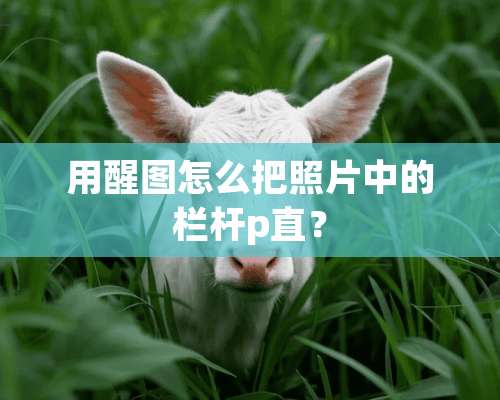 用醒图怎么把照片中的栏杆p直？