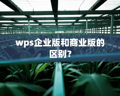 wps企业版和商业版的区别？