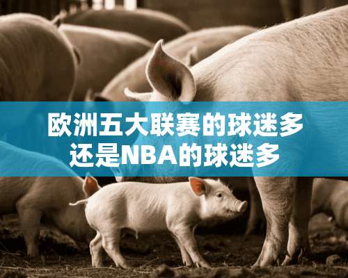 欧洲五大联赛的球迷多还是NBA的球迷多