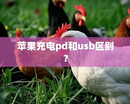 苹果充电pd和usb区别？