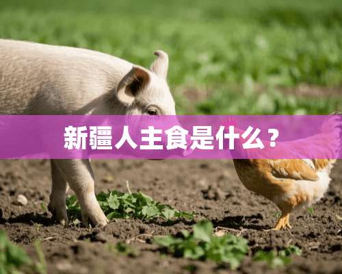 新疆人主食是什么？