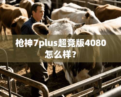 *神7plus超竞版4080怎么样？