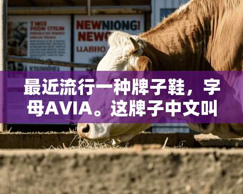 最近流行一种牌子鞋，字母AVIA。这牌子中文叫什么