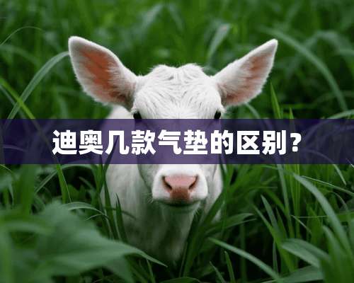 迪奥几款气垫的区别？