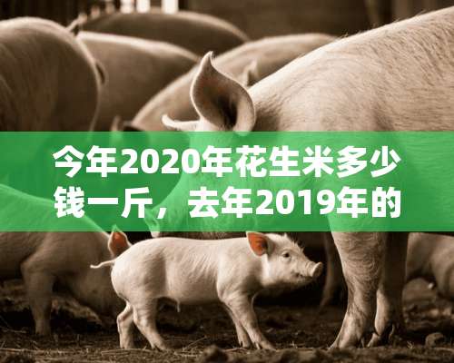 今年2020年花生米多少钱一斤，去年2019年的行情价是多少？