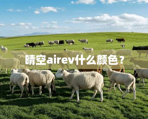 晴空airev什么颜色？