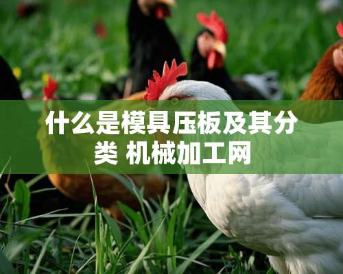 什么是模具压板及其分类 机械加工网