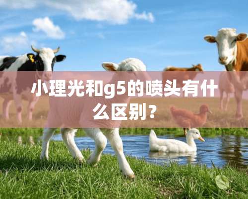 小理光和g5的喷头有什么区别？