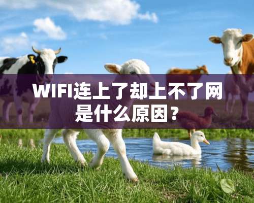 WIFI连上了却上不了网是什么原因？