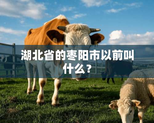 湖北省的枣阳市以前叫什么？