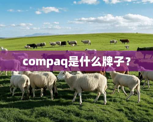 compaq是什么牌子？