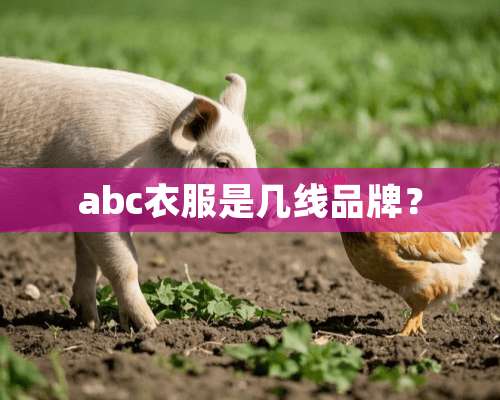 abc衣服是几线品牌？