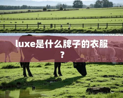 luxe是什么牌子的衣服？