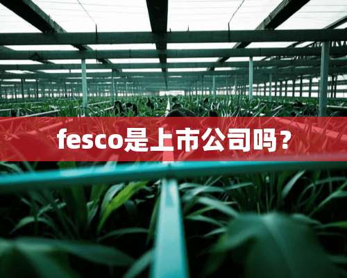 fesco是上市公司吗？