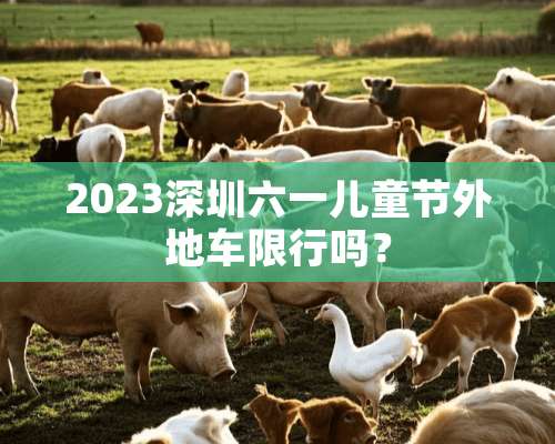 2023深圳六一儿童节外地车限行吗？