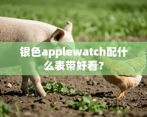 银色applewatch配什么表带好看？