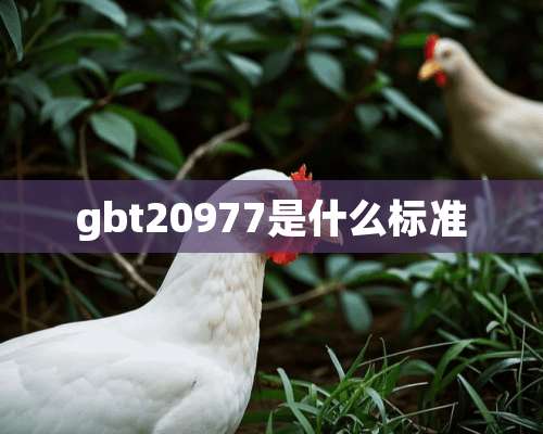 gbt20977是什么标准