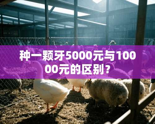 种一颗牙5000元与10000元的区别？