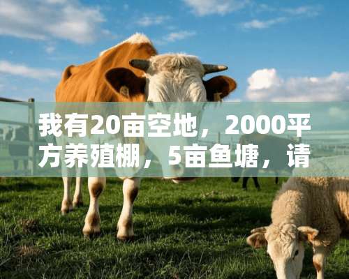 我有20亩空地，2000平方养殖棚，5亩鱼塘，请问怎么利用循环经济项目？