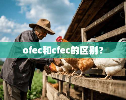 ofec和cfec的区别？