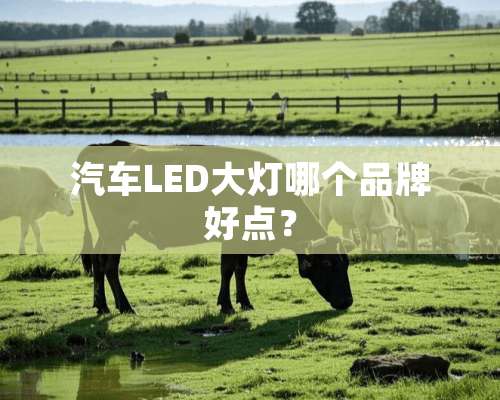 汽车LED大灯哪个品牌好点？