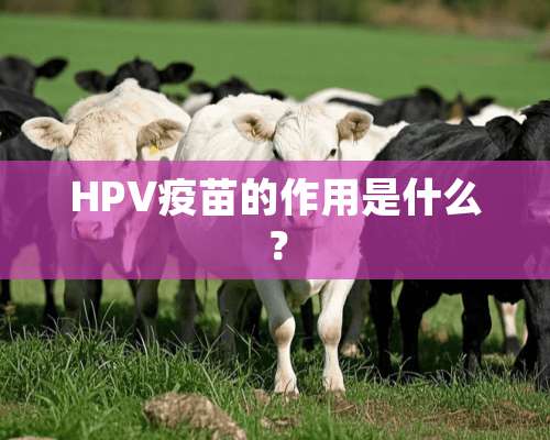 HPV**的作用是什么？